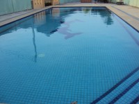 /album/bildgalleri-formedling/dsc02976-jpg/